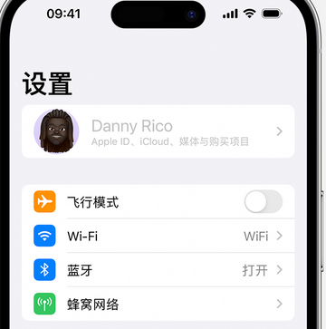 麒麟appleID维修服务iPhone设置中Apple ID显示为灰色无法使用 