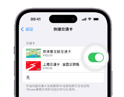 麒麟apple维修点分享iPhone上更换Apple Pay快捷交通卡手绘卡面 