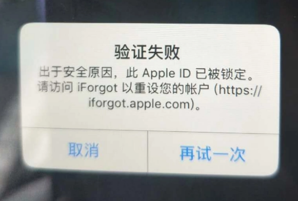 麒麟iPhone维修分享iPhone上正常登录或使用AppleID怎么办 