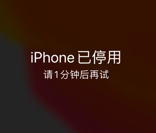 麒麟苹果手机维修分享:iPhone 显示“不可用”或“已停用”怎么办？还能保留数据吗？ 