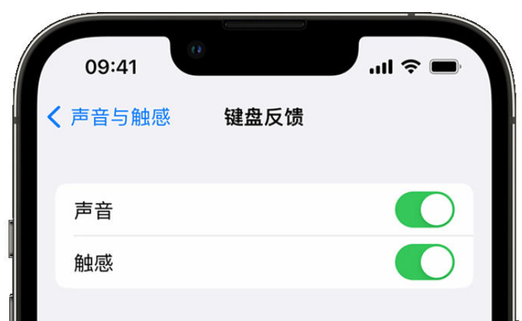 麒麟苹果手机维修分享iPhone 14触感键盘使用方法 