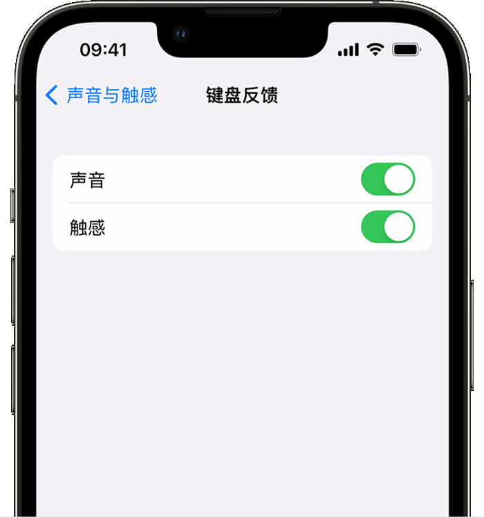 麒麟苹果14维修店分享如何在 iPhone 14 机型中使用触感键盘 