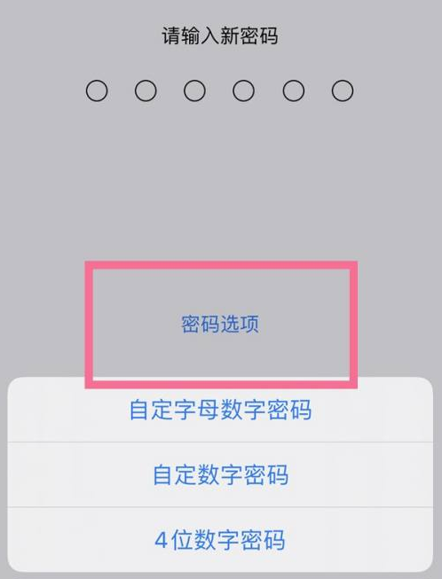 麒麟苹果14维修分享iPhone 14plus设置密码的方法 