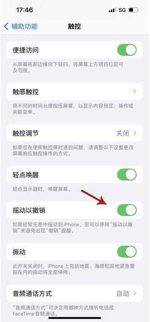 麒麟苹果手机维修分享iPhone手机如何设置摇一摇删除文字 